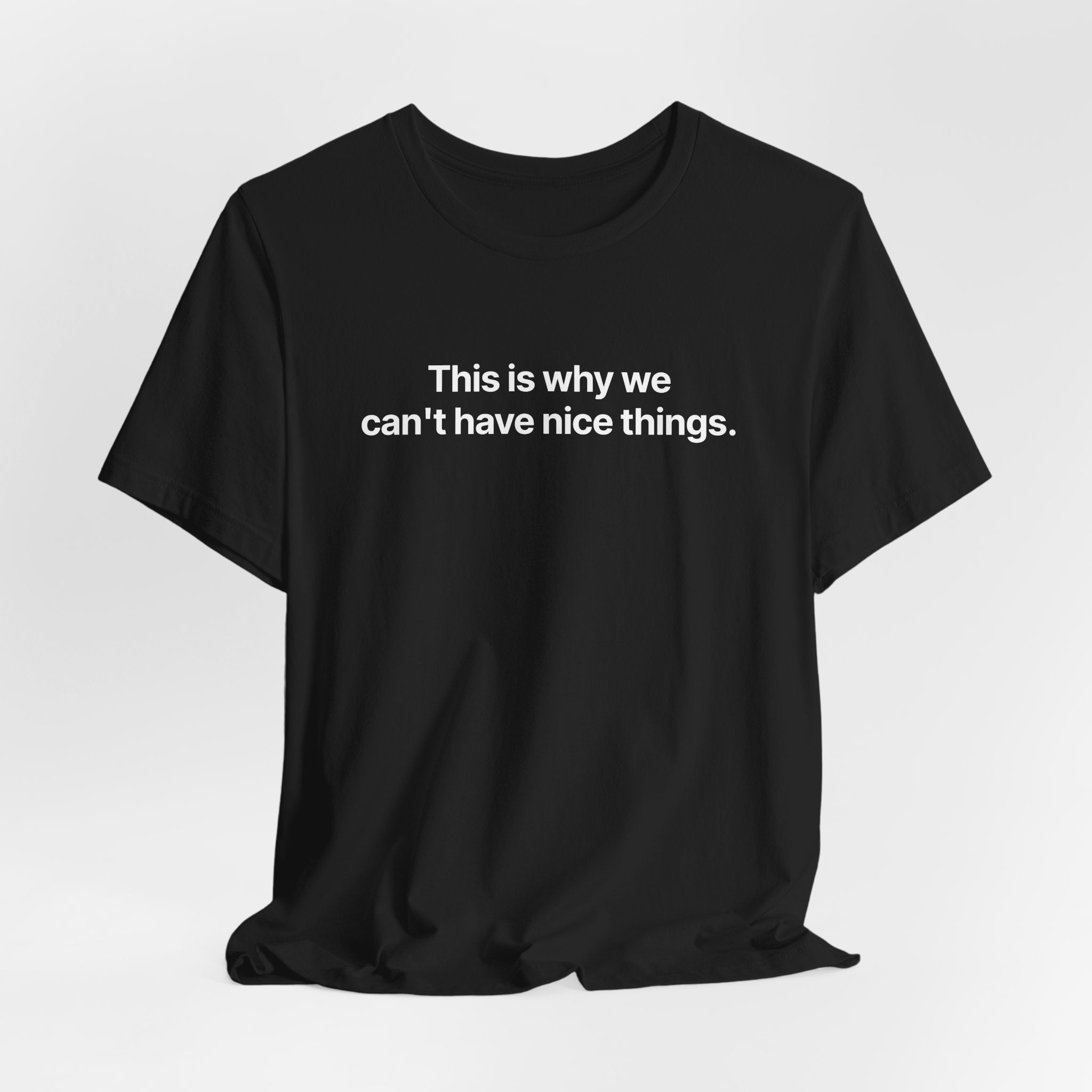 This is why we can't have nice things - T-Shirt