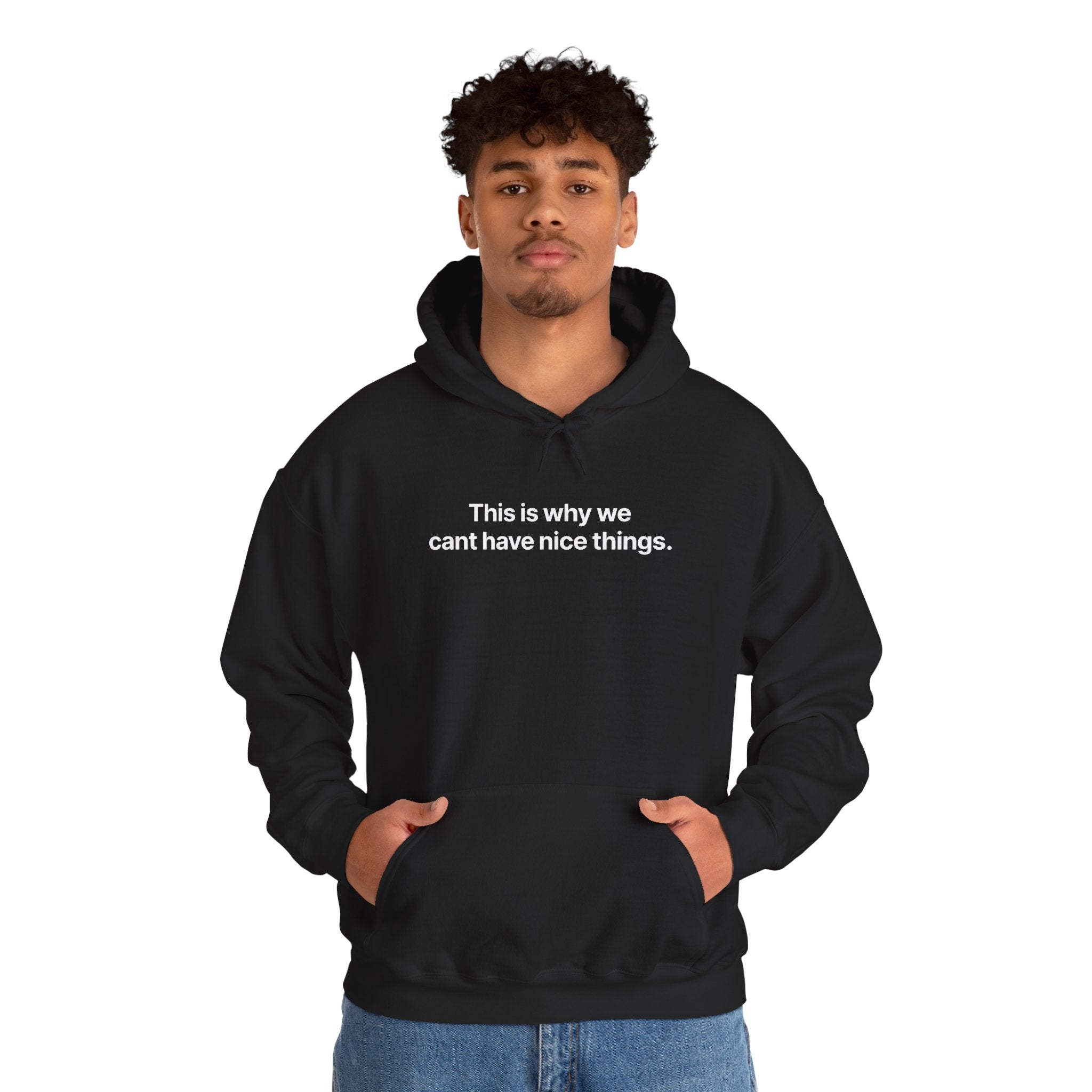 This is why we can't have nice things - Hoodie