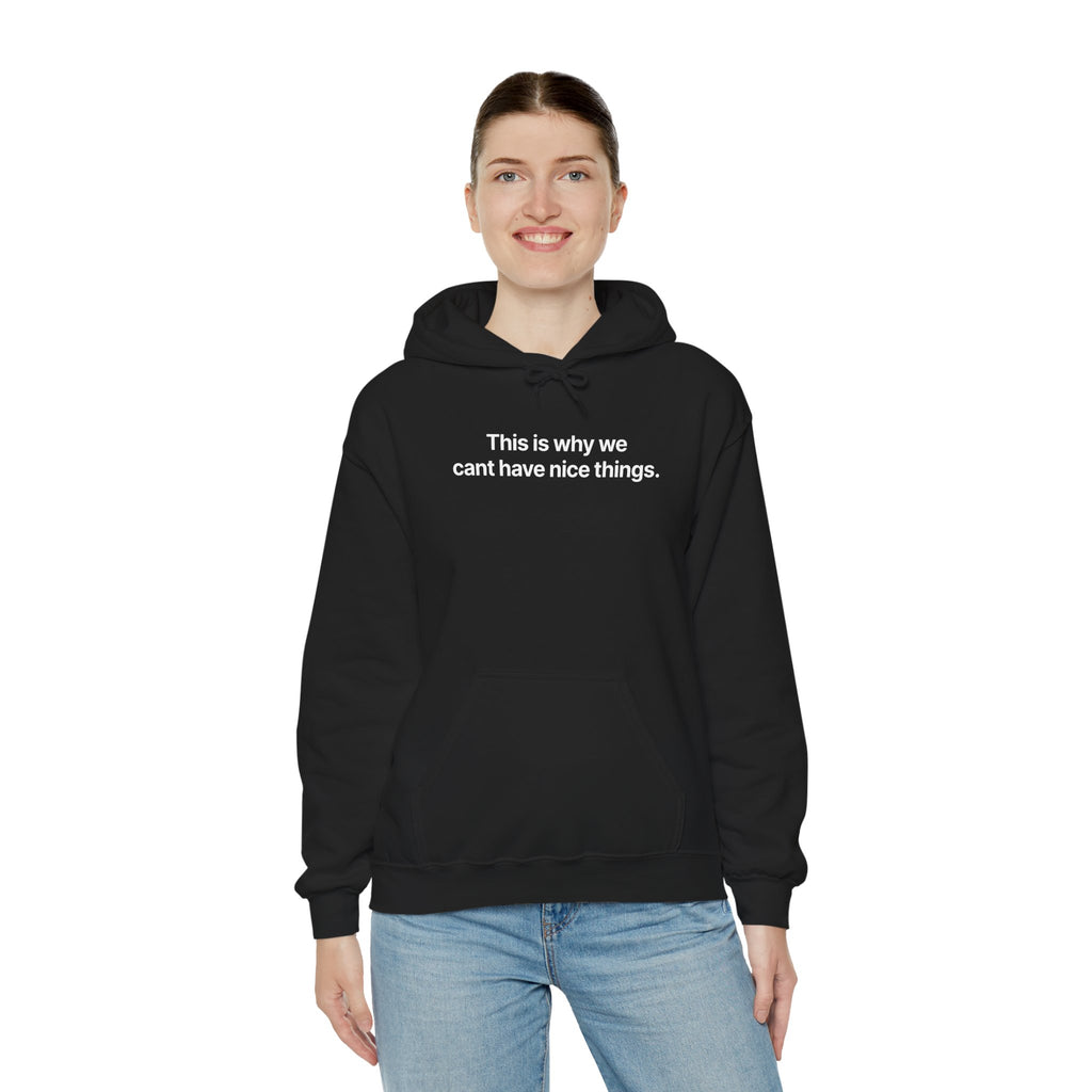 This is why we can't have nice things - Hoodie
