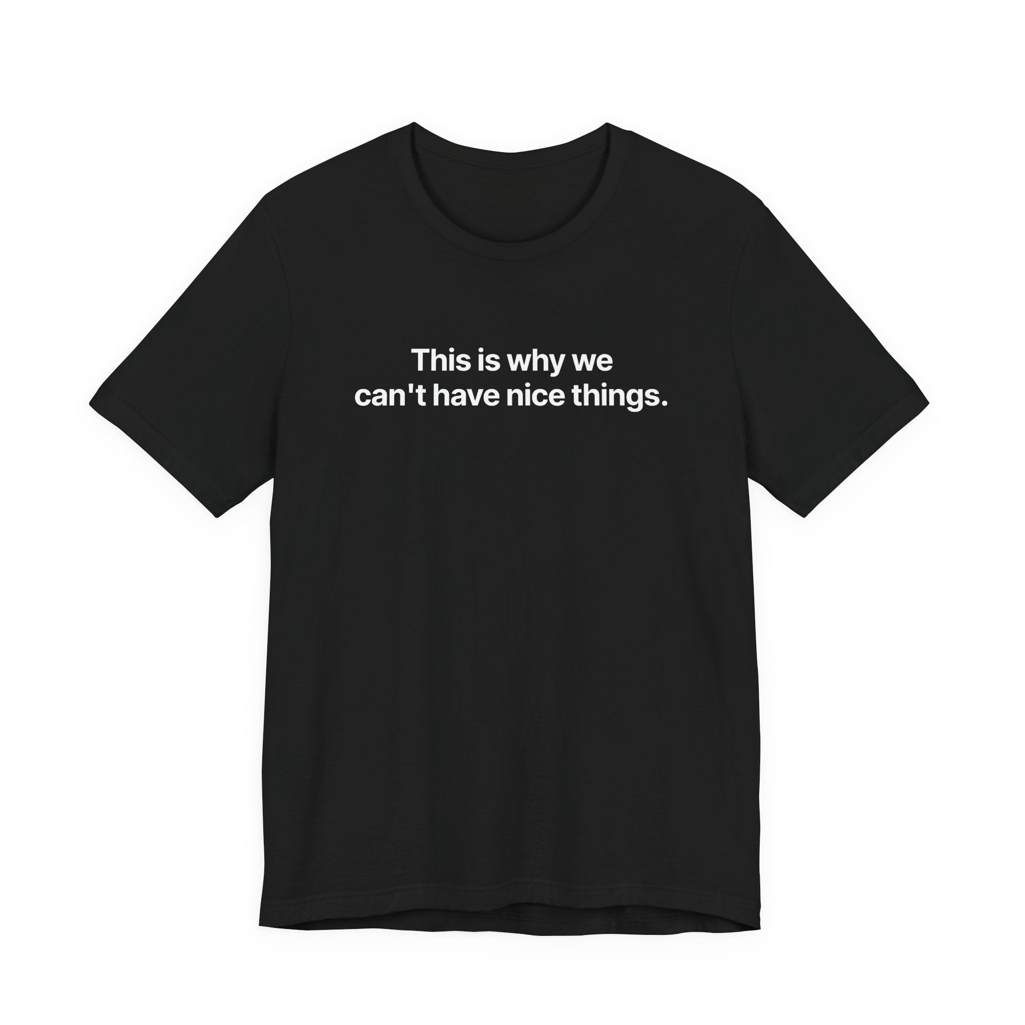 This is why we can't have nice things - T-Shirt